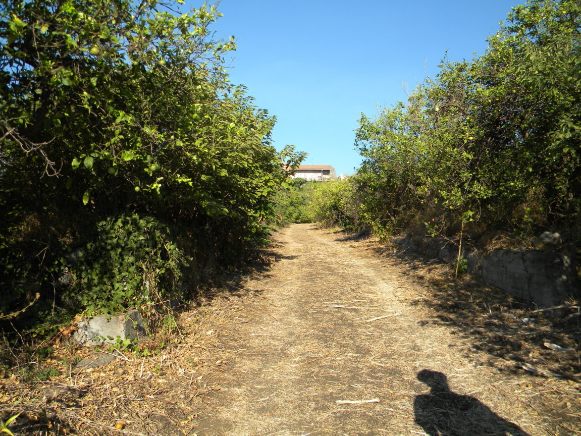DSCN8074 .JPG